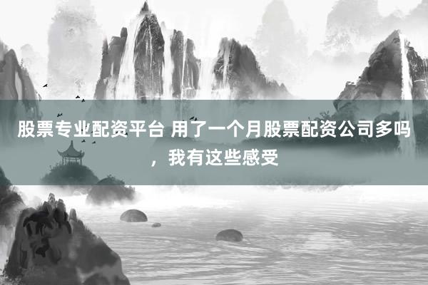 股票专业配资平台 用了一个月股票配资公司多吗，我有这些感受