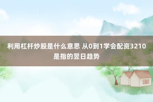 利用杠杆炒股是什么意思 从0到1学会配资3210是指的翌日趋势