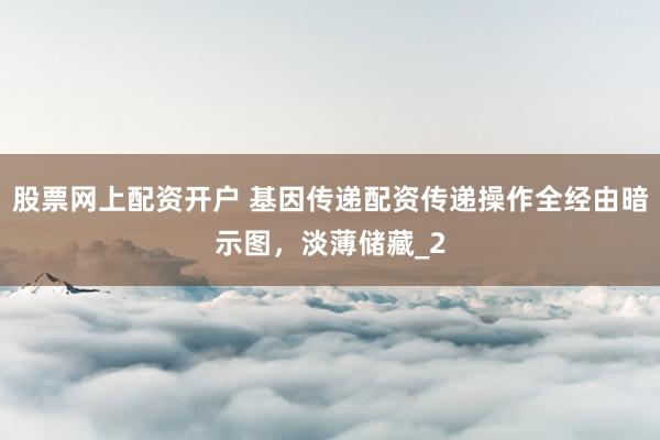 股票网上配资开户 基因传递配资传递操作全经由暗示图，淡薄储藏_2