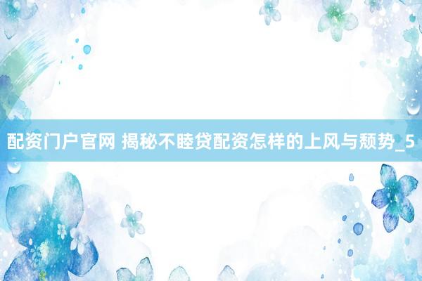 配资门户官网 揭秘不睦贷配资怎样的上风与颓势_5