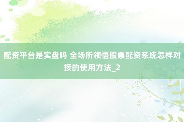 配资平台是实盘吗 全场所领悟股票配资系统怎样对接的使用方法_2