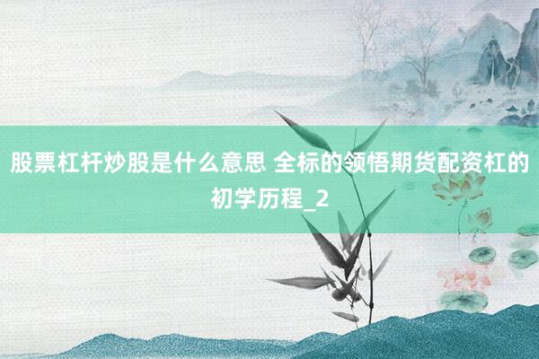 股票杠杆炒股是什么意思 全标的领悟期货配资杠的初学历程_2