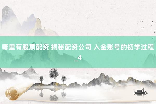 哪里有股票配资 揭秘配资公司 入金账号的初学过程_4