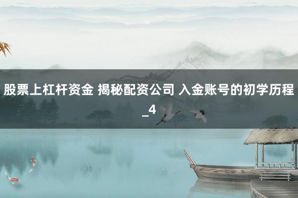 股票上杠杆资金 揭秘配资公司 入金账号的初学历程_4