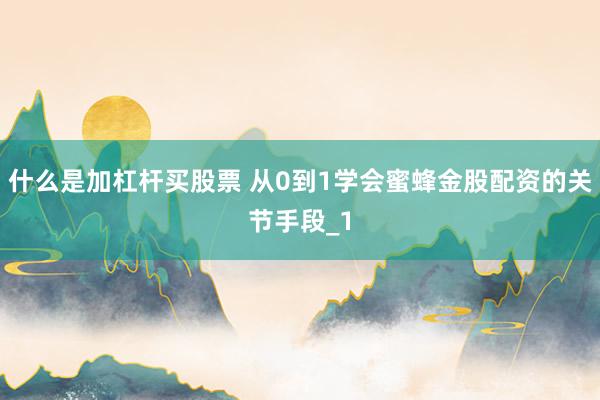 什么是加杠杆买股票 从0到1学会蜜蜂金股配资的关节手段_1