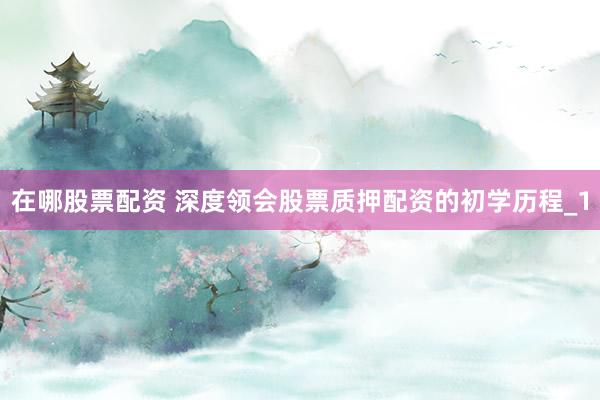 在哪股票配资 深度领会股票质押配资的初学历程_1