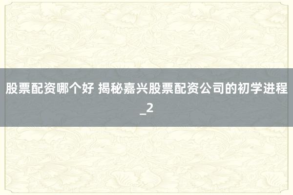 股票配资哪个好 揭秘嘉兴股票配资公司的初学进程_2