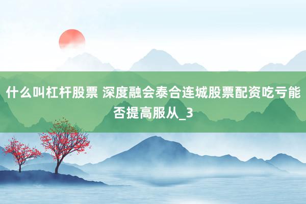 什么叫杠杆股票 深度融会泰合连城股票配资吃亏能否提高服从_3