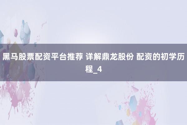 黑马股票配资平台推荐 详解鼎龙股份 配资的初学历程_4