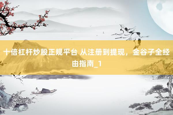 十倍杠杆炒股正规平台 从注册到提现，金谷子全经由指南_1