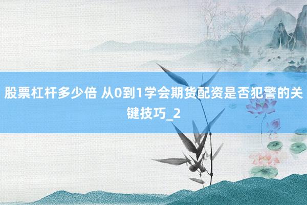 股票杠杆多少倍 从0到1学会期货配资是否犯警的关键技巧_2