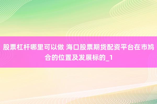 股票杠杆哪里可以做 海口股票期货配资平台在市鸠合的位置及发展标的_1