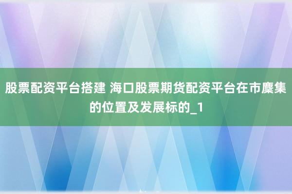 股票配资平台搭建 海口股票期货配资平台在市麇集的位置及发展标的_1