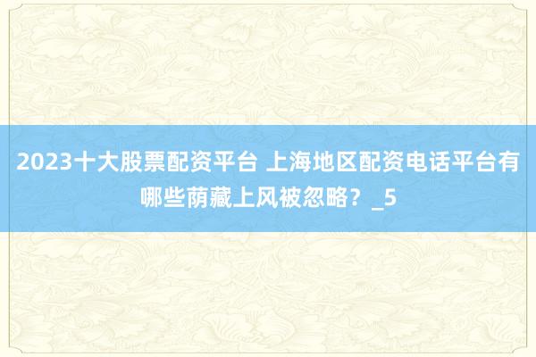 2023十大股票配资平台 上海地区配资电话平台有哪些荫藏上风被忽略？_5