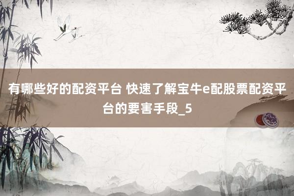 有哪些好的配资平台 快速了解宝牛e配股票配资平台的要害手段_5