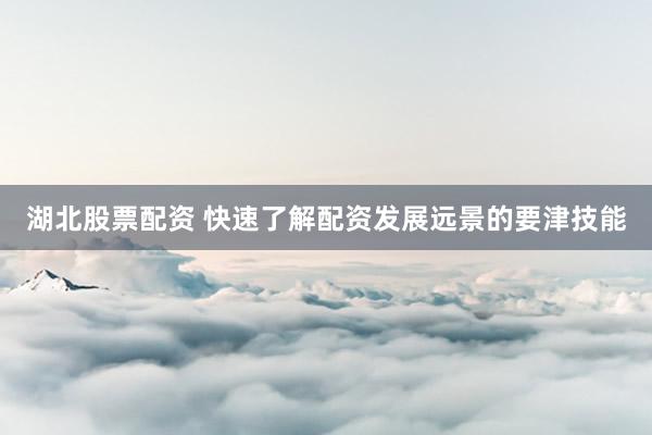湖北股票配资 快速了解配资发展远景的要津技能