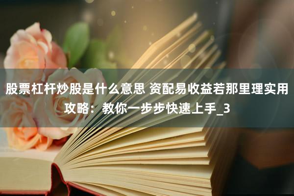 股票杠杆炒股是什么意思 资配易收益若那里理实用攻略：教你一步步快速上手_3
