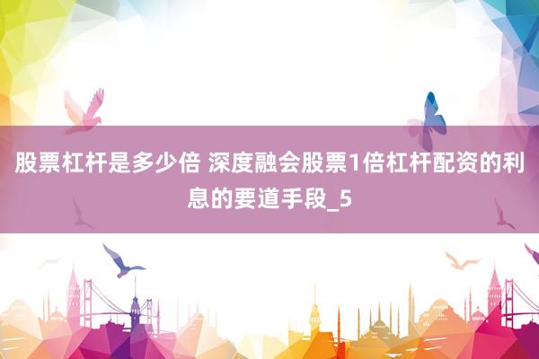 股票杠杆是多少倍 深度融会股票1倍杠杆配资的利息的要道手段_5